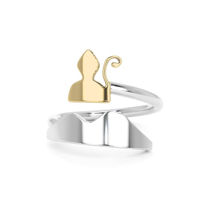 Anello Vesuvio e San Gennaro