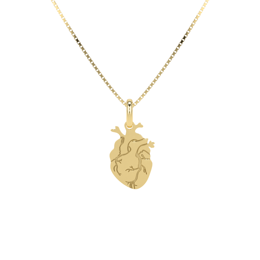 Collana Cuore Anatomico